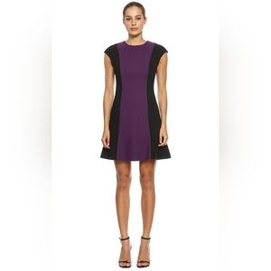 Jason Wu Purple and Black Mini Dress